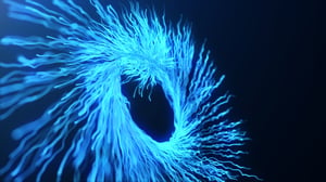 iStock-1441666566